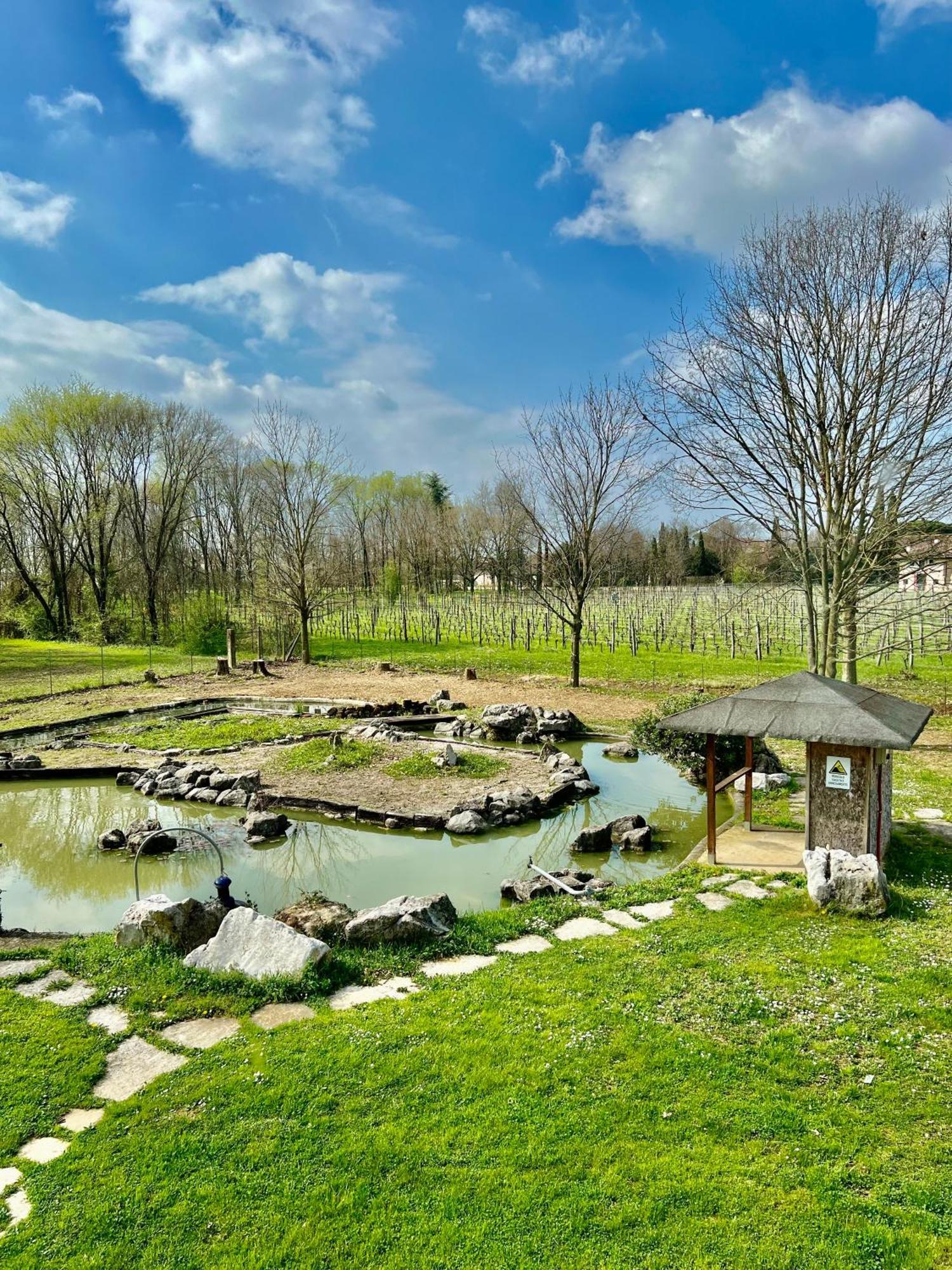 Villa Saten Pavia d'Udine Exteriér fotografie